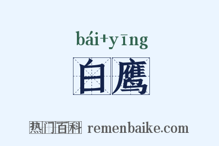 白鹰是什么意思的图片